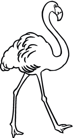 Flamingo Stepping Coloring Page